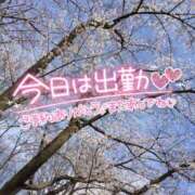 ヒメ日記 2025/05/01 08:48 投稿 北野 ミサ こあくまな熟女たち 上野・御徒町店 (KOAKUMAグループ)