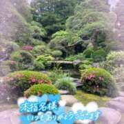 ヒメ日記 2025/06/06 12:38 投稿 北野 ミサ こあくまな熟女たち 上野・御徒町店 (KOAKUMAグループ)