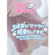 ヒメ日記 2025/08/14 17:40 投稿 北野 ミサ こあくまな熟女たち 上野・御徒町店 (KOAKUMAグループ)