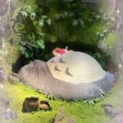 ヒメ日記 2025/09/11 19:15 投稿 北野 ミサ こあくまな熟女たち 上野・御徒町店 (KOAKUMAグループ)