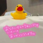 北野 ミサ サンモリッツ本店　Ａさんへ こあくまな熟女たち 上野・御徒町店 (KOAKUMAグループ)