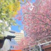 ヒメ日記 2026/03/10 17:25 投稿 北野 ミサ こあくまな熟女たち 上野・御徒町店 (KOAKUMAグループ)