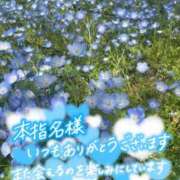 ヒメ日記 2026/04/22 22:07 投稿 北野 ミサ こあくまな熟女たち 上野・御徒町店 (KOAKUMAグループ)