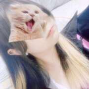 ヒメ日記 2025/09/09 11:01 投稿 つみれ☆超可愛い清楚幼い極上美乳 PREMIUM萌え可愛いチョコレート～全てのステージで感動の体験を～