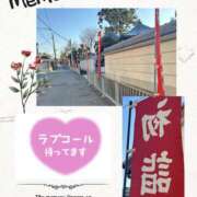 ヒメ日記 2024/12/17 14:39 投稿 えりか 奥鉄オクテツ和歌山