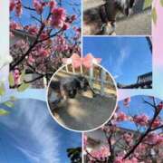 ヒメ日記 2025/03/10 16:10 投稿 えりか 奥鉄オクテツ和歌山