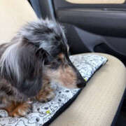 ヒメ日記 2025/04/27 15:47 投稿 えりか 奥鉄オクテツ和歌山