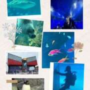 ヒメ日記 2025/07/17 17:18 投稿 えりか 奥鉄オクテツ和歌山