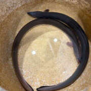 ヒメ日記 2025/07/19 16:51 投稿 えりか 奥鉄オクテツ和歌山