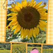 ヒメ日記 2025/08/07 15:45 投稿 えりか 奥鉄オクテツ和歌山