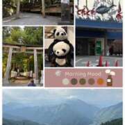 ヒメ日記 2025/09/17 16:27 投稿 えりか 奥鉄オクテツ和歌山