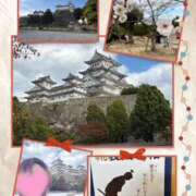 ヒメ日記 2025/11/06 18:24 投稿 えりか 奥鉄オクテツ和歌山