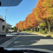 ヒメ日記 2025/11/15 09:30 投稿 えりか 奥鉄オクテツ和歌山