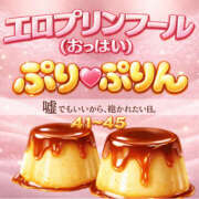 ヒメ日記 2026/04/05 16:40 投稿 えりか 奥鉄オクテツ和歌山