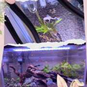 ヒメ日記 2026/04/06 21:55 投稿 えりか 奥鉄オクテツ和歌山