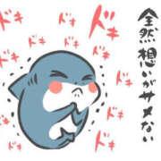 ヒメ日記 2026/04/14 18:32 投稿 えりか 奥鉄オクテツ和歌山