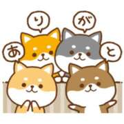 えりか 仲良しＨさん 奥鉄オクテツ和歌山