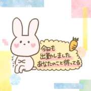 ヒメ日記 2026/06/29 12:10 投稿 えりか 奥鉄オクテツ和歌山