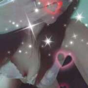 ヒメ日記 2025/07/20 10:20 投稿 こずえ 奥鉄オクテツ和歌山