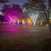 ヒメ日記 2025/08/22 19:50 投稿 こずえ 奥鉄オクテツ和歌山