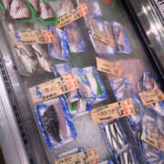 ヒメ日記 2025/08/25 10:55 投稿 こずえ 奥鉄オクテツ和歌山