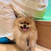 ヒメ日記 2025/04/09 06:00 投稿 にいな 世界のあんぷり亭 町田店