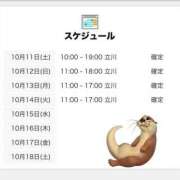 ヒメ日記 2025/10/11 06:00 投稿 にいな 世界のあんぷり亭 町田店