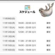 ヒメ日記 2025/11/09 21:00 投稿 にいな 世界のあんぷり亭 町田店