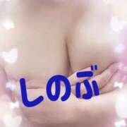 ヒメ日記 2025/02/19 14:56 投稿 しのぶ 熟女＆人妻＆ぽっちゃり倶楽部