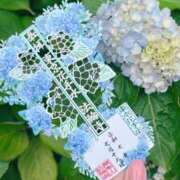 ヒメ日記 2025/08/12 23:24 投稿 りん セクシーキャット 神田店