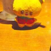 ヒメ日記 2025/11/01 13:21 投稿 りん セクシーキャット 神田店