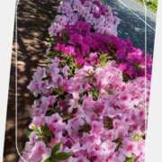 ヒメ日記 2025/04/29 13:31 投稿 きよか 熟女の風俗最終章 蒲田店