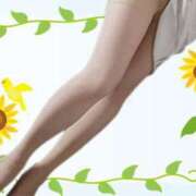 ヒメ日記 2025/07/03 15:52 投稿 きよか 熟女の風俗最終章 蒲田店