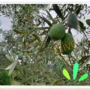 ヒメ日記 2025/10/10 15:50 投稿 きよか 熟女の風俗最終章 蒲田店