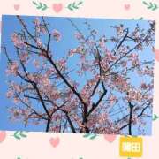 ヒメ日記 2026/02/18 15:20 投稿 きよか 熟女の風俗最終章 蒲田店