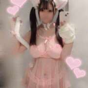 ヒメ日記 2025/04/12 11:15 投稿 りりか ぷるるん小町日本橋店