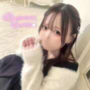 ヒメ日記 2025/02/12 10:03 投稿 うた 大阪はまちゃん 谷九店