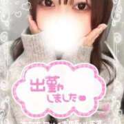 ヒメ日記 2025/03/01 13:03 投稿 うた 大阪はまちゃん 谷九店