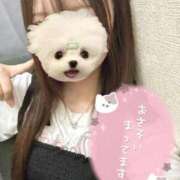 ヒメ日記 2025/09/27 20:42 投稿 うた 大阪はまちゃん 谷九店