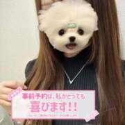 ヒメ日記 2025/10/29 00:12 投稿 うた 大阪はまちゃん 谷九店