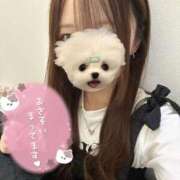 うた ほんじつ 大阪はまちゃん 谷九店