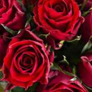 ヒメ日記 2025/04/17 14:40 投稿 ももこ 即トク奥さん