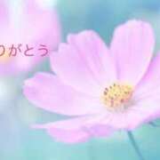 ヒメ日記 2025/08/31 22:53 投稿 ももこ 即トク奥さん