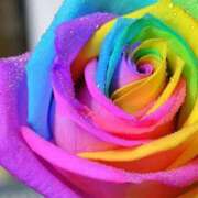 ヒメ日記 2026/04/09 12:20 投稿 ももこ 即トク奥さん