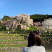ヒメ日記 2025/04/11 14:08 投稿 青空　こと 未熟な人妻