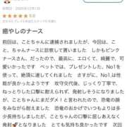 ヒメ日記 2026/05/15 03:02 投稿 青空　こと 未熟な人妻