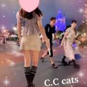ケイト ♡こんにちは♡ C.C.CATS