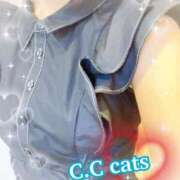 ケイト ♡きのうは♡ C.C.CATS
