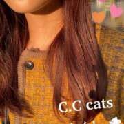 ケイト ♡♡ C.C.CATS
