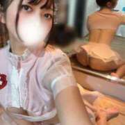 ヒメ日記 2025/03/01 17:05 投稿 たお ホワイトハウス